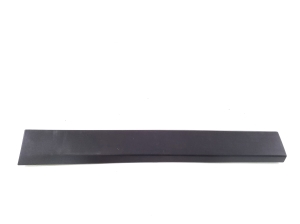 Rear side door molding - 7352093