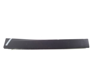 Rear side door molding - 7352094