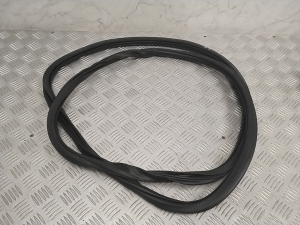   Rear side door seal on the door  -  