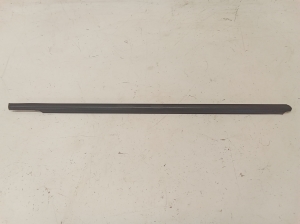 Rear side door outer window molding - 24208078