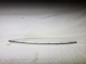 Rear bumper molding - 580950050