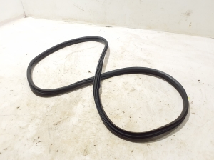   Rear side door seal on the door  - 52015986 