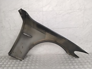 BMW 5 SERIES F11 (2010–2017) Front fender - 2