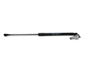 LEXUS NX (2014–2021) Hood prop/gas strut 534400W280 - 4