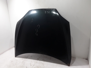 Motorhaube - 1051875