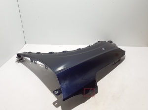 RENAULT Austral (2022–2026) Front fender 631012106R - 4