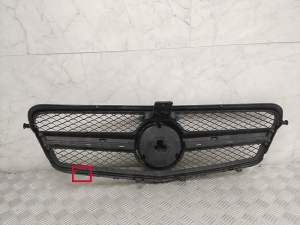 Mercedes Benz E-Class W212 (2009–2015) Kühlergrill - 4
