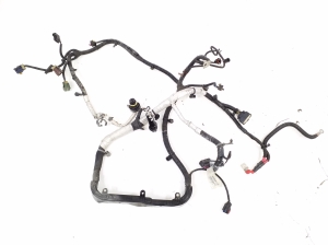 Engine wiring harness - P68231013AC