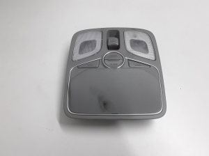 Front interior lighting panel - 928002P800