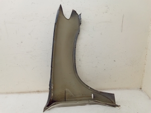 BMW X5 E53 (1999–2006) Front fender 89303D151 - 4