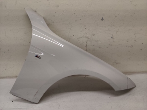 Front fender - 41007438440
