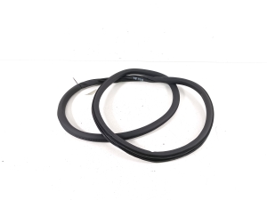   Rear side door seal on the door  - 9838518480 