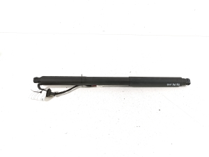   Trunk lid strut  - 9841719780 