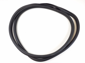   Rear side door seal on the door  - 55399255AE 