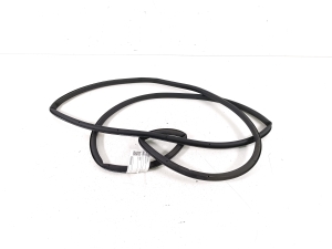   Rear side door seal on the door  - 9838518380 