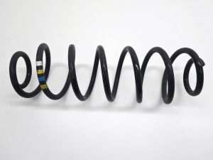 Rear spring