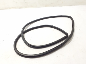 LEXUS RX LA1 (2022–2026) Front door rubber seal 623110E130 - 2