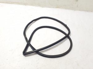   Rear side door seal on the door  - 623320E130 