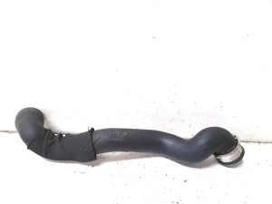 Mercedes Benz E-Class W211 (2002–2009) Jahutusradiaatori voolik 2035010282 - 6