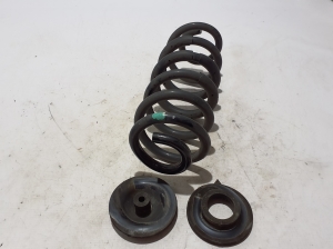 LEXUS RX LA1 (2022–2026) Rear spring 482310E690 - 2