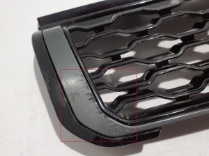 Land Rover Evoque (2011–2018) Kühlergrill GJ328200D - 4