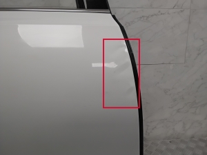 VOLVO V90 (2016–2026) Tür hinten - 7