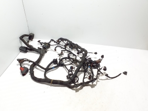 Faisceau moteur - LR092201
