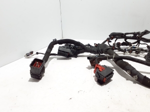 Land Rover Evoque (2011–2018) Mootori juhtmestik LR092201 - 4