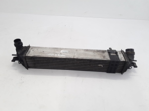 RENAULT Laguna III (2007–2015) Intercooler 144960001R - 3