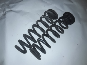 Opel Insignia (2017–2026) Rear spring 84198855 - 2