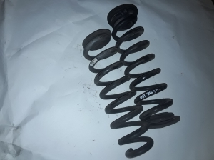 Opel Insignia (2017–2026) Rear spring 84198855 - 3