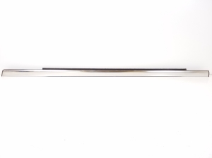   Fensterschachtleiste außen Tür hinten  - 55399292AC 