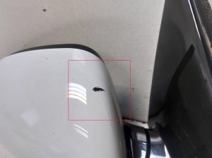Kia Sportage (2016–2021) Side mirror and its parts 87620F1560 - 7