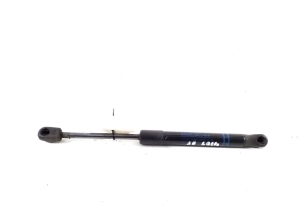  Hood prop/gas strut  - 7397493 