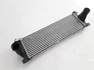 Vahejahuti radiaator - 7420866948 