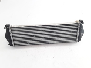 RENAULT Mascott (1999–2010) Vahejahuti radiaator 7420866948 - 2