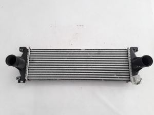 RENAULT Mascott (1999–2010) Vahejahuti radiaator 7420866948 - 3