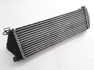 RENAULT Mascott (1999–2010) Vahejahuti radiaator 7420866948 - 5