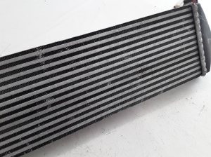 RENAULT Mascott (1999–2010) Vahejahuti radiaator 7420866948 - 6