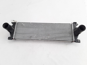 RENAULT Mascott (1999–2010) Vahejahuti radiaator 7420866948 - 7