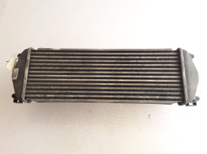RENAULT Mascott (1999–2010) Vahejahuti radiaator 7420866948 - 2