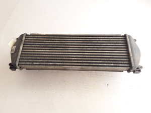 RENAULT Mascott (1999–2010) Vahejahuti radiaator 7420866948 - 10