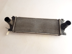 Vahejahuti radiaator - 7420866948 
