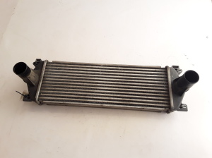 RENAULT Mascott (1999–2010) Vahejahuti radiaator 7420866948 - 3
