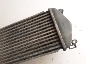 RENAULT Mascott (1999–2010) Vahejahuti radiaator 7420866948 - 4