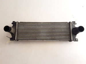 RENAULT Mascott (1999–2010) Vahejahuti radiaator 7420866948 - 5