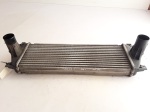 RENAULT Mascott (1999–2010) Vahejahuti radiaator 7420866948 - 6