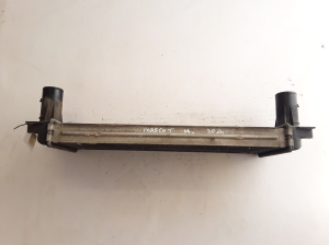 RENAULT Mascott (1999–2010) Vahejahuti radiaator 7420866948 - 7