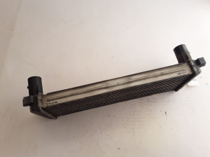 RENAULT Mascott (1999–2010) Vahejahuti radiaator 7420866948 - 8