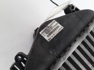RENAULT Mascott (1999–2010) Vahejahuti radiaator 7420866948 - 9